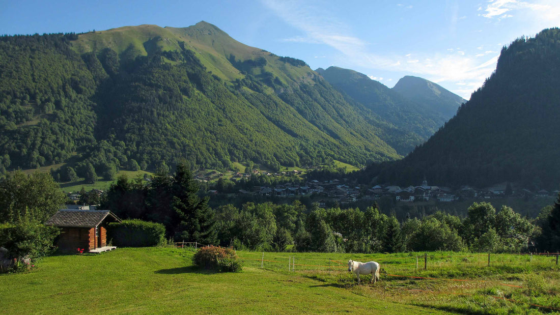 Online Land Hunting: Tips and Tricks for Finding Vacant Properties for Sale